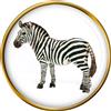 Zebra Distintivo di Lapel Pin