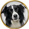 Cane Border Collie Distintivo di Lapel Pin
