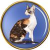 Cornish Rex Gatto Distintivo di Lapel Pin