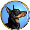 Spilla Bagde Al Petto Terrier Inglese (Nero E Marrone)