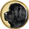 Spilla Spilletta Per Cane Newfoundland