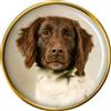 Piccolo Münsterländer Cane Distintivo di Lapel Pin