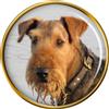 Cane Terrier Lakeland Distintivo di Lapel Pin