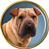 Shar Pei Cane Distintivo di Lapel Pin