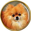 Cane Pomeranian (Zwergspitz) Distintivo di Lapel Pin
