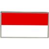 Spilla Pinna Bandiera Hessen (Germania)