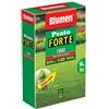Blumen Prato Forte Turbo - Sementi