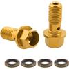 Asudaro Vite in Alluminio Tubo Olio Pompa Freno, Asudaro Vite in Alluminio Moto per Pompa Freno Moto Anteriore E Posteriore M10x1.25mm con Bullone Tubo Filettato per La Maggior Parte Dei Modelli di Auto