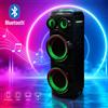 Vetrineinrete Cassa Bluetooth 450W 2 microfono wireless USB TF radio FM luci RGB