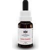 BUSH BIOTHERAPIES Pty Ltd Green Essence Australian Bush Flower Essences 15ml
