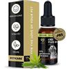 Peticare olio CBD 10% per cani - Con vitamine D1 ed E1 per la protezio
