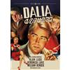 Sinister Film La Dalia Azzurra (Restaurato In Hd) (DVD) Ladd Bendix Lake Busch