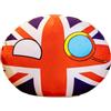 Generico Countryballs Pluşhies - 40cm Plush Country Ball | Plush Country Ball Doll Pillow Keychain Anime 2D National Flag Character Soft PlushPP Cotton Collectible Gift Toy UK US JP EU