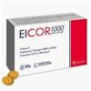 Nalkein Eicor 1000 Omega 3 Coenzima Q10 Antiossidante 30 softgel