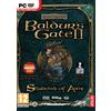 Interplay Baldur's Gate 2: Shadows of Amn (PC DVD) [Edizione: Regno Unito]