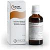 Named srl AMARA 50ML GTT PASCOE