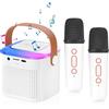 OEM Mini sistema karaoke con luci LED portatili e microfoni wireless