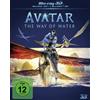 Walt Disney / LEONINE Avatar - The Way of Water (Blu-ray 3D) (+ Blu-ray 2D) (Blu-ray) Zoe Saldana