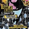 Various Artists Punk N' Bleach: A Punk Tribute to Nirvana (CD) Album