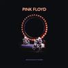 Pink Floyd Delicate Sound Of Thunder Deluxe (CD)