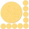 Generico 10 pezzi Spugnette Viso in Spugna Naturale Esfolianti e Delicate per Pulizia e Trucco per Uso Quotidiano su Sensibile e Rosacea