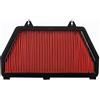 Filtrex Filtro aria Filtrex per moto Honda 600 CBR RR 2007-2018 17210-MFJ-D00