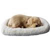 Hperu Cani che dormono di peluche che respirano sul cuscino, cane respira realistico Peluche interattivo a batteria Cucciolo realistico per bambini Bambini Dorato