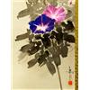 Senza marchio Dipinto giapponese in seta Morning Glory di Ide Gakusui con scatola