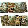 Artery8 Ernst Haeckel Kunstformen Der Natur Plates Nature Vintage Various Land Sea Biology Art Print Poster Home Decor Premium Pack of 8
