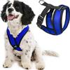 Gooby Choke Free Comfort x Morbido Dog Harness