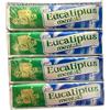 MENTAL Eucaliptus Mentolo Fassi (20 stick)