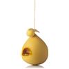 Caciocavalleria Caciocavallo Irpino Giovane | Formaggio Italiano a pasta filata | Stagionatura 60 gg | Kg 2,200 peso medio garantito