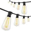 Catena Luminosa da Esterno 1800x3,8x9 cm con 50 Luci LED IP44 in PET e Plastica Nero e Trasparente