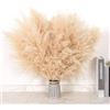DATEFUN Pampas Decorative - 10 Pezzi Fiori Secchi Decorativi 43 cm - Piume Erba Della Pampas Naturali per Matrimoni, Boho Decor, Home Decor