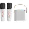 OEM Piccolo impianto karaoke Bluetooth portatile con microfono e luci LED