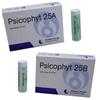 BIOGROUP PSICOPHYT REMEDY 25B 4TUB 1,2G - BIOGROUP - 903973295