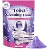 MagiSel Detergente per WC, Toilet Cleaning Foam, Detergente per Wc in Polvere Toilet Cleaner, Schiuma Insta-Action Senza Contatto, Super Potente contro Macchie e Grasso, Pulizia Splendente (100g)