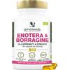 Amoseeds Olio di Enotera e Borragine BIO | Prima spremitura a freddo | 14,5% di acido gamma-linolenico | 90 capsule vegetali, vegan | Prodotto in Francia | Qualità Superiore