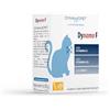 DYNAMOPET | Dynamo F - Alimento Complementare per le Naturali Difese dell'Organismo di Gatti, Confezione 20 Stick da 2,5 g - uno Stick ogni 5 kg di Peso dell'Animale