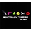 Elliott Sharp 4am always (CD) Album