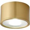 Elksdut Faretto a montaggio superficiale in ottone, illuminazione spot d'accento moderna per interni, plafoniere a LED per soggiorno corridoio corridoio galleria luci per quadri e mini faretti d'accento