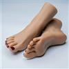 Sumumtor Un paio di piedi di manichino femminili in morbido silicone realistico, per esporre scarpe, gioielli, sandali, scarpe, calzini, schizzi artistici (colore scuro)