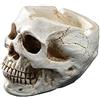 VOANZO Posacenere con Teschio Umano in Resina Ornamenti per la casa spaventose Decorazioni Halloween Teschi Decorativi Figurine di scheletri per Forniture da Bar Arredamento per Fumatori per Fumatori