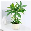 WOHSEROM Piccolo bonsai artificiale da 38,6 cm, pianta artificiale da scrivania in vaso di ceramica bianca, realistica pianta di pachira per interni, decorazione per casa, ufficio, soggiorno (senza