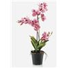 artplants.de Orchidea Vanda Artificiale Campo, Rosa-Fuchsia, 60cm - Orchidea Finta - Fiore di Seta