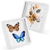 Qurxuanwe 2 Pcs Cornice Profonda 3D 20x20 cm, Cornici Foto per Oggetti Fino a 3 cm, Cornice in legno Forma Quadrata Bianca, Portafoto Decorazioni Fai da Te per Riempire Fiori, Souvenir, Regali, Bouquet di Nozze
