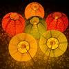 Aiminjey 12 lanterne di carta cinesi con luce a LED, luci a LED, lampade di carta giapponesi asiatiche con nappa e bastone da passeggio, lanterne multicolori da 20 cm per feste di Capodanno cinese (rotonde)