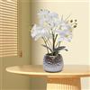 Wiyuer Composizione artificiale di orchidee con vaso, Phalaenopsis, vaso in ceramica, orchidea, bonsai, pianta artificiale, fiori in vaso, decorazione per tavolo, soggiorno (2)