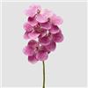 EDG Enzo De Gasperi Orchidea Vanda Ramo H 65 Cm Pianta Artificiale Fuchsia