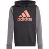 adidas Kids Felpa con Cappuccio Essentials Big Logo Colorblock